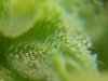 20180722_115155.jpg 20180722_115155.jpg