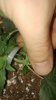 20180722_221732.jpg