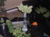 DSCN2159.jpg