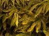 100_1077.jpg