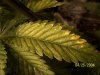 100_1069.jpg