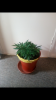 Screenshot_20180715-165537.png