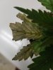20180725_004256.jpg 20180725_004256.jpg