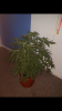 Screenshot_20180726-154800.png