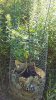 20180725_181840.jpg