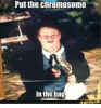 put-the-chromosome-in-the-bag-funny-ce-30874776.png