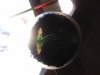 20180728_022316.jpg