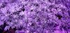 20180729_015239.jpg