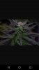 Screenshot_20180730-092918.png