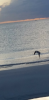 Screenshot_2018-01-21-19-43-03-1.png