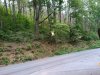 IMG_20180728_201243.jpg