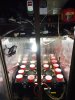 IMG_20180730_074439253.jpg