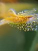 20180804_185841.jpg