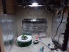 20180805_135343.jpg