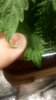 20180808_224113.jpg