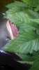 20180809_121244.jpg