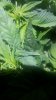 20180809_121306.jpg