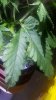 20180809_122229.jpg