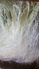 20180809_122724.jpg