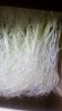 20180809_122728.jpg