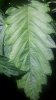 20180809_122514.jpg