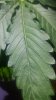 20180809_122432.jpg