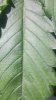 20180809_122416.jpg