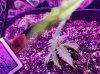 20180809_154707.jpg