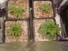 20180810_064558.jpg