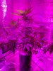 20180810_060000.jpg