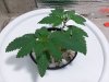 20180806_113622.jpg