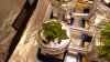 WP_20180811_18_16_46_Pro.jpg