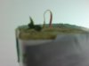 DSC00475.jpg