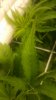 20180813_222716.jpg