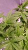 WP_20180814_11_30_32_Pro.jpg