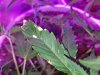 20180814_121241.jpg