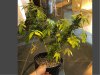 D956A0E0-DE3B-4E32-913B-48CC88F53879.jpeg