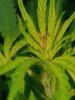 20170725_073645.jpg