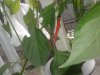 20180816_160114.jpg
