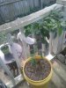 20180816_160135.jpg