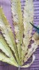 20180816_171618.jpg