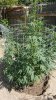 20180816_153837.jpg