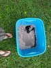 20180819_184113.jpg
