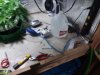 20180821_135844.jpg