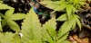 20180822_235726.jpg 20180822_235726.jpg