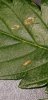 20180823_170521.jpg