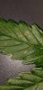 20180823_170514.jpg