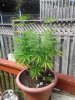 20180826_123921.jpg