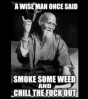thumb_a-wiseman-once-said-smoke-some-weed-and-chill-the-15929188.png