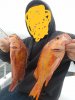 20180826_161819.jpg